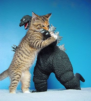 funny-picture-Godzilla-cat-picture-Gen-Kanai