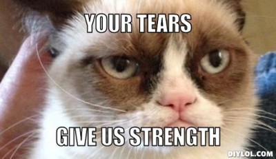 domainku-com-bfr-grumpy-cat-meme-generator-your-tears_zps471c5cbf