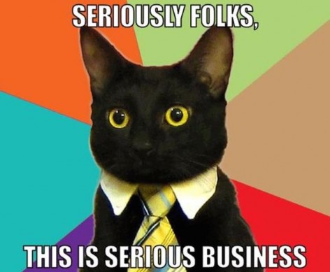 resized_business-cat-meme-generator-seriously-folks-this-is-serious-business-d31d3d