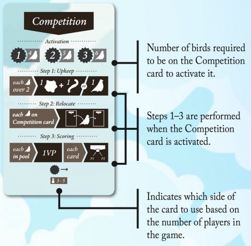 Flock card 2