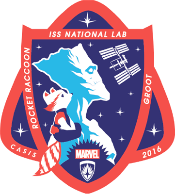 groot rocket nasa patch