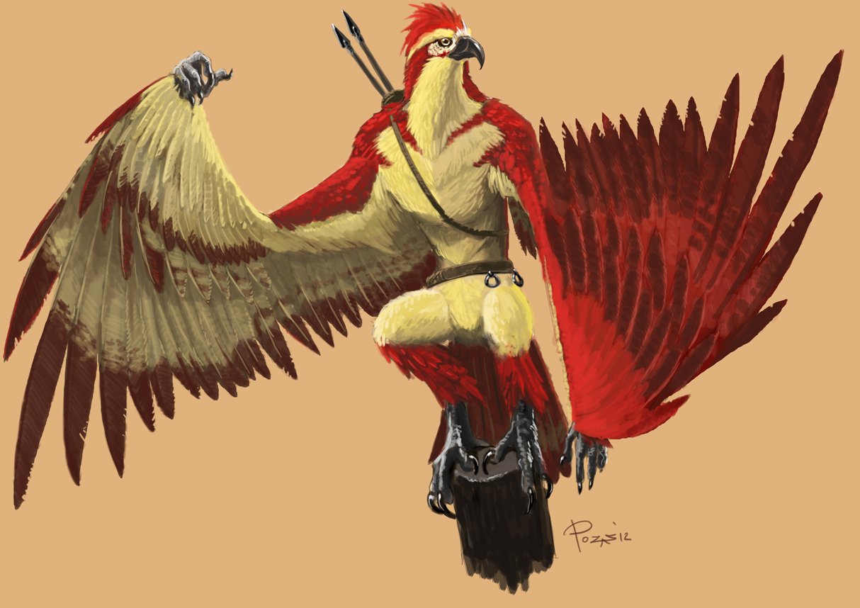 Race bird. Ааракокра (Aarakocra). Раса Ааракокра. Ааракокра ДНД 5. Ааракокра ДНД арт.