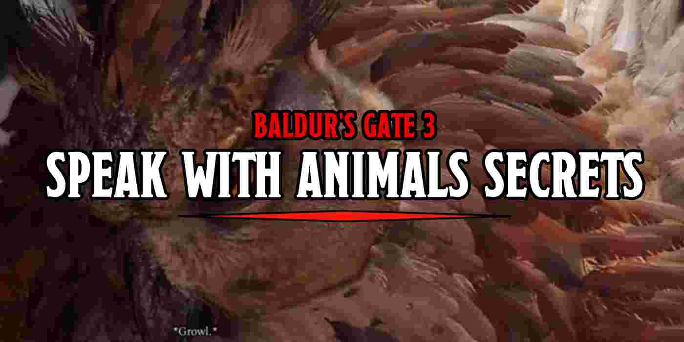 D&D: Baldur's Gate 3 - The Best Speak With Animals Shenanigans - Bell of  Lost Souls