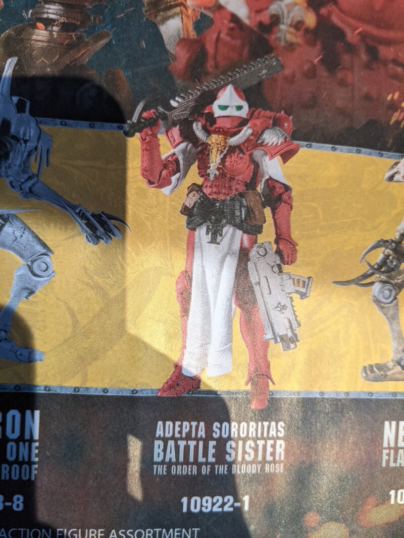 Adepta Sororitas Battle Sister - Order of The Bloody Rose