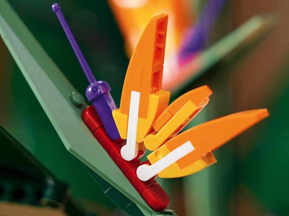 bird of paradise lego big w
