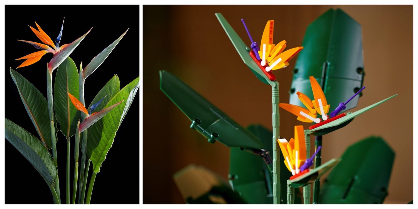 Bring Some Color to Your Home With a Lego Bird of Paradise - Bell of