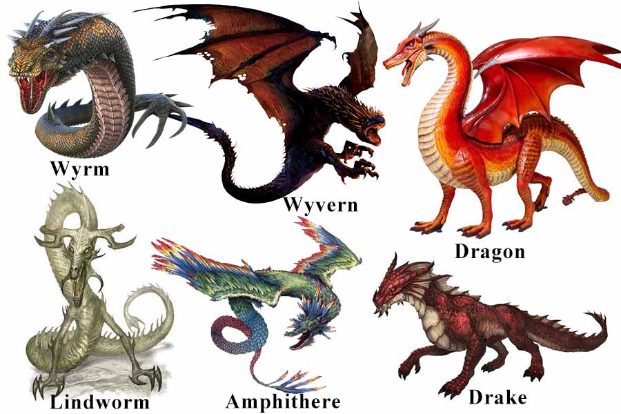 Dragons of the Worlds From Folklore to Fantasy PRIME Bell of Lost Souls