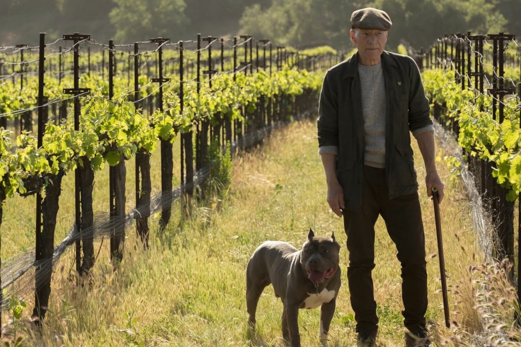 jean luc picard and his number one dog