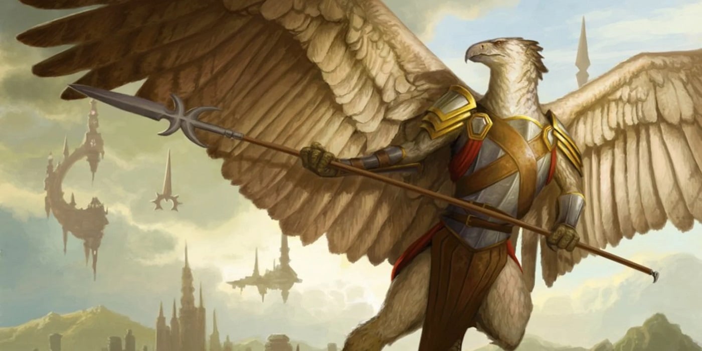 The Aarakocra Race for Dungeons & Dragons (D&D) Fifth Edition (5e) - D&D  Beyond