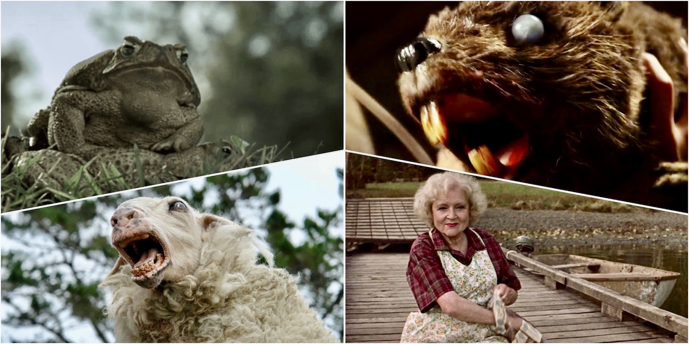 Watch Cute But Deadly Animals Attack in These Horrible Horror Movies - Bell  of Lost Souls