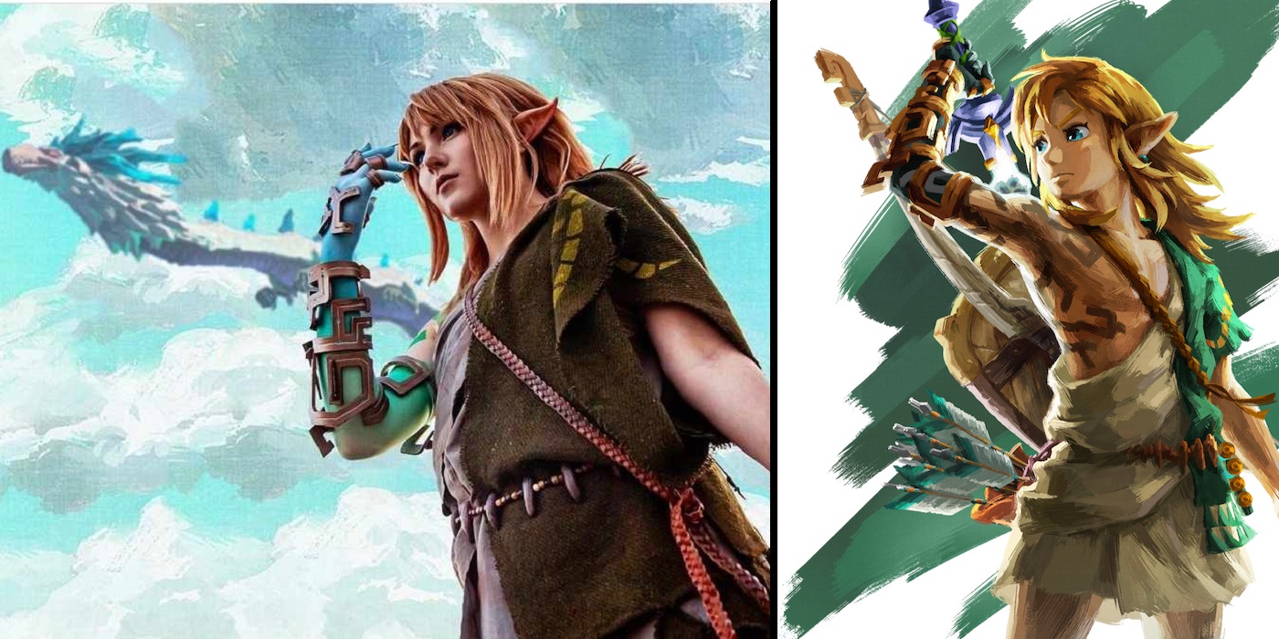 The Legend Of Zelda: Tears Of The Kingdom Link Cosplay Costume